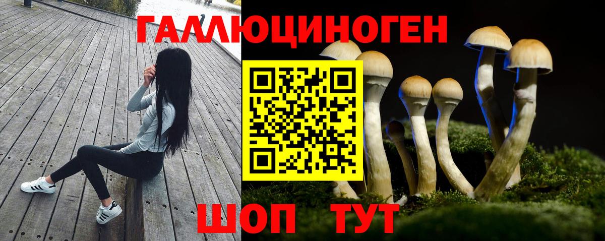 Екатеринбург  Псилоцибиновые грибы Cubensis  Вход с VPN 